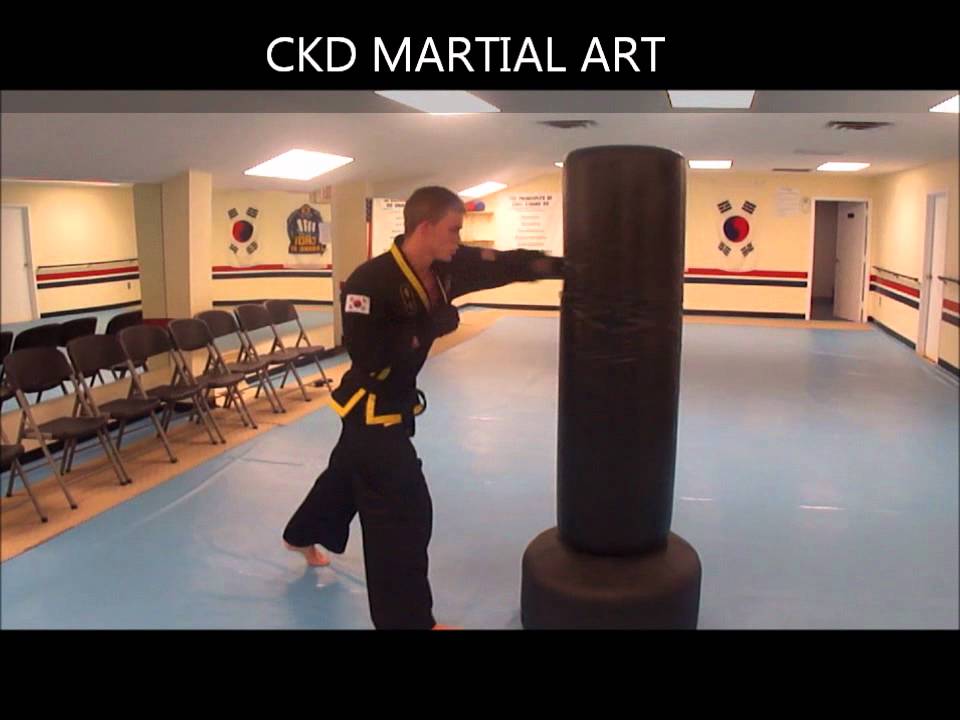 Choi Kwang Do Martial Art