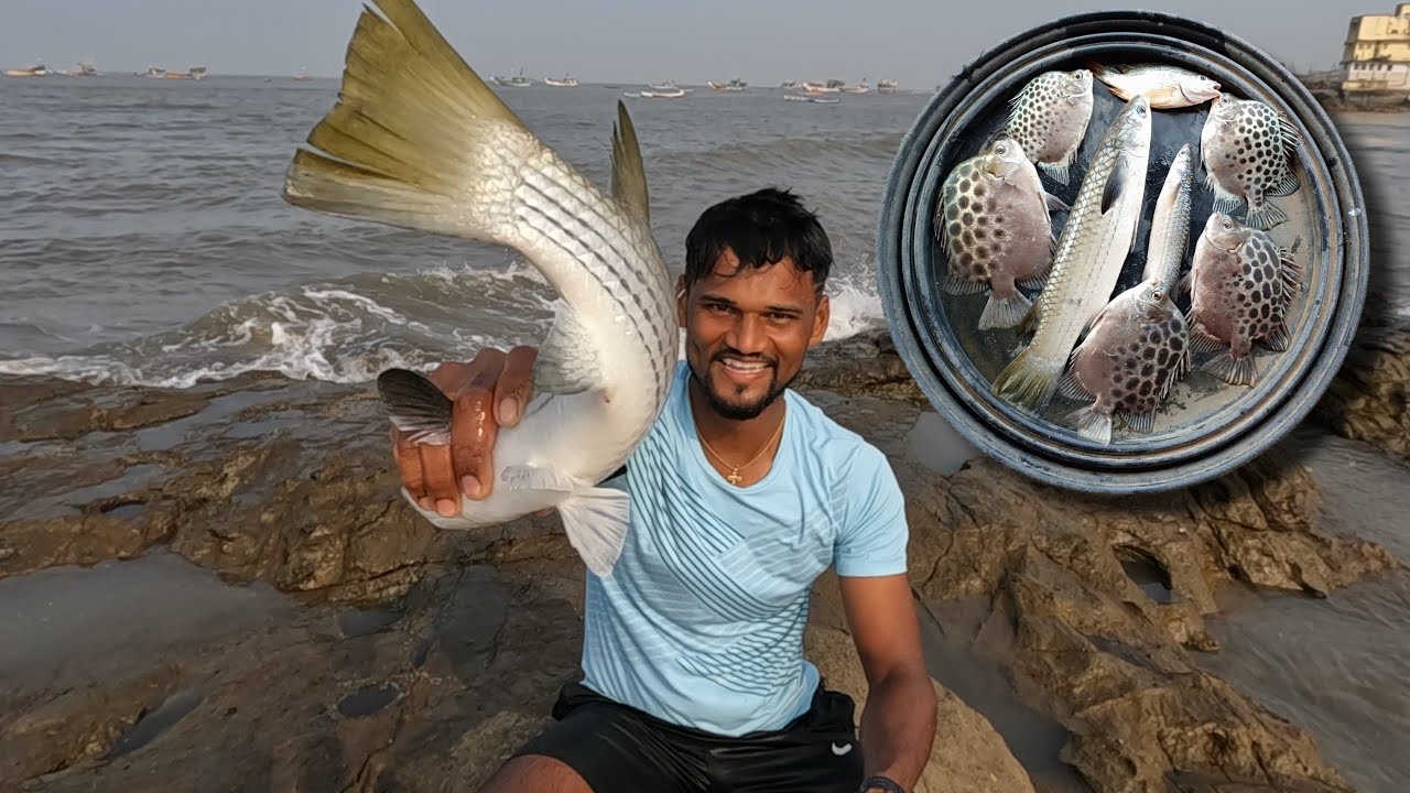 रात्रीची मासेमारी करून घरी आल्यावर गेलो पाग मासेमारी करायला. Cast net fishing. Mumbai Indian fishing