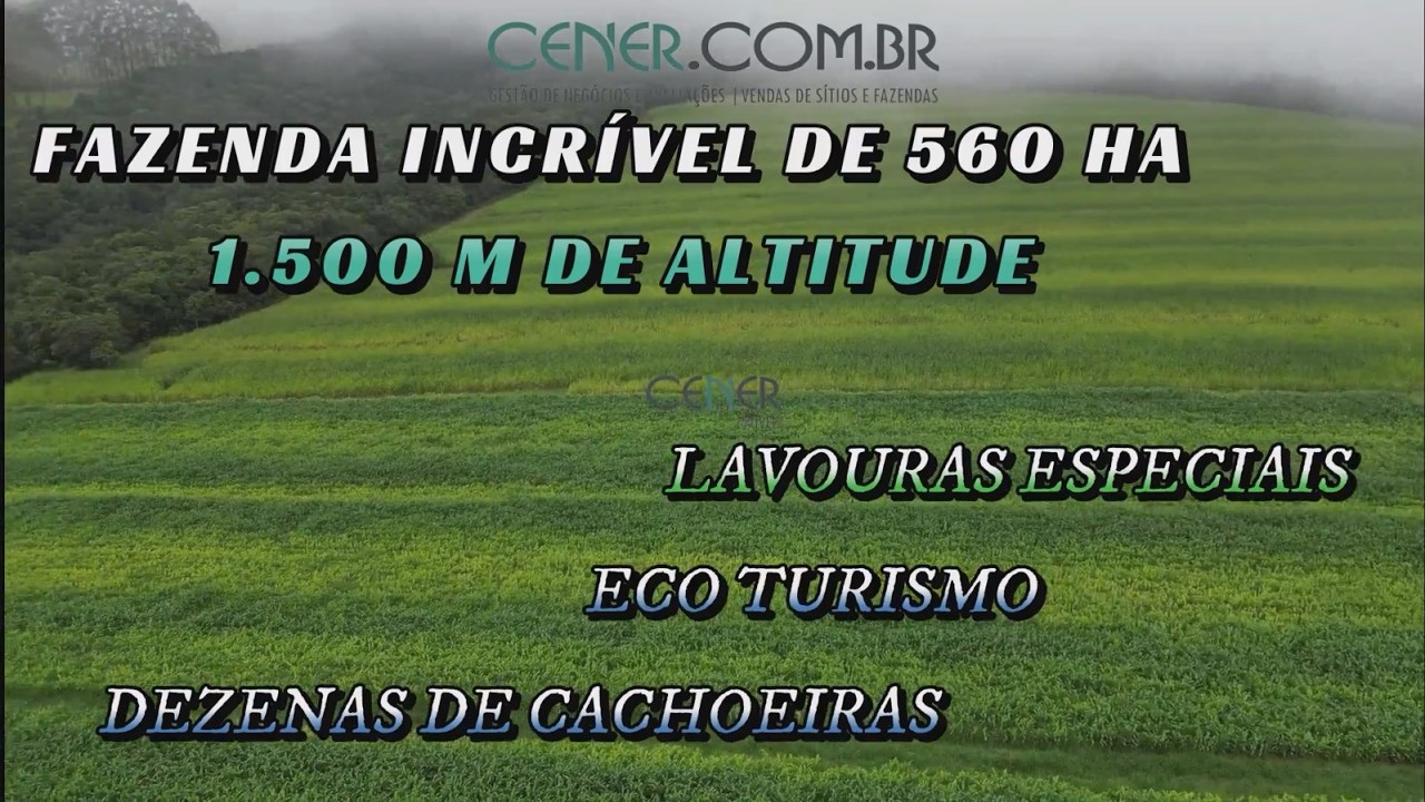 Cener 2998 Incrível fazenda de 560 ha com 1500 m de altitude por 6 500 mil sul de Minas
