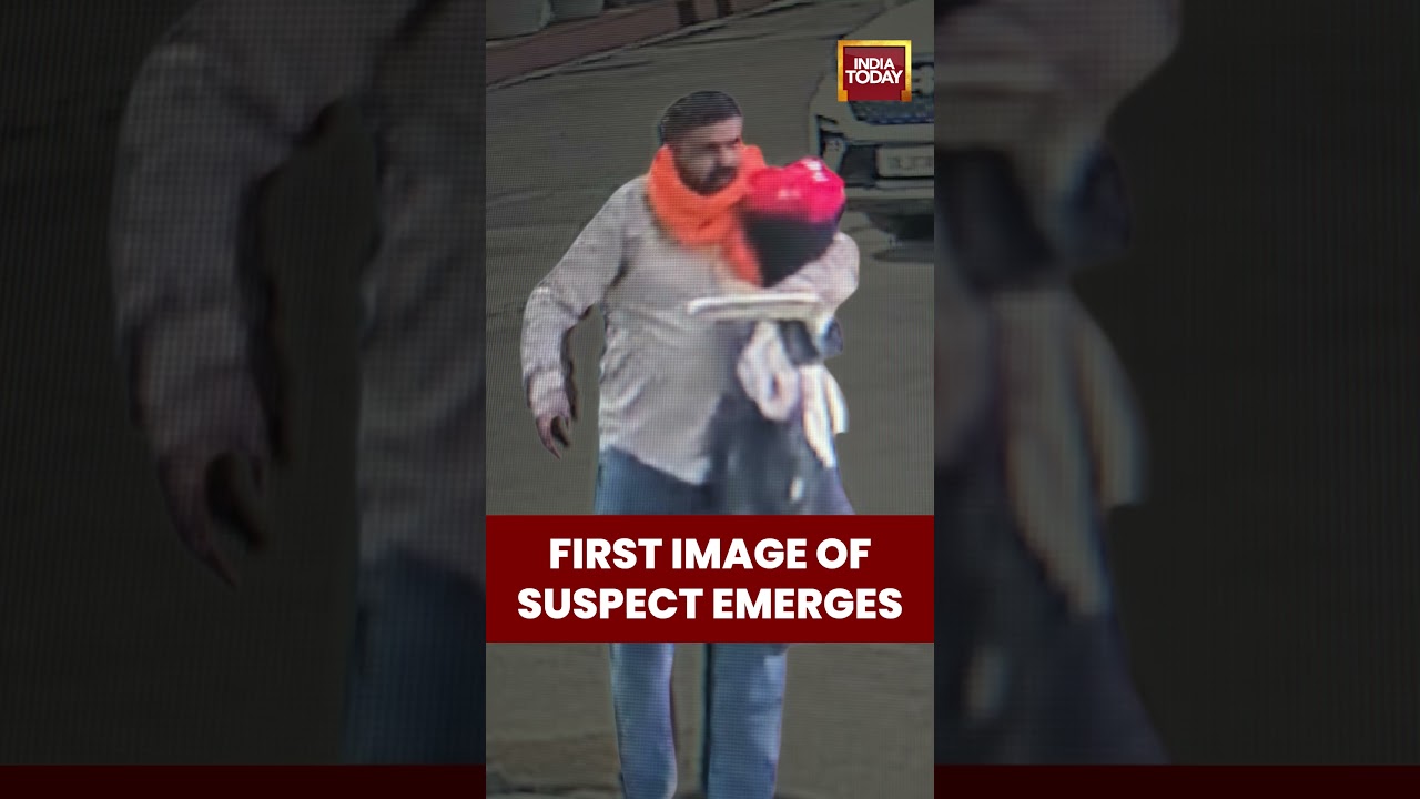 Delhi Assembly Security Breach: First Picture Of Suspect Emerges | Delhi Security Scare