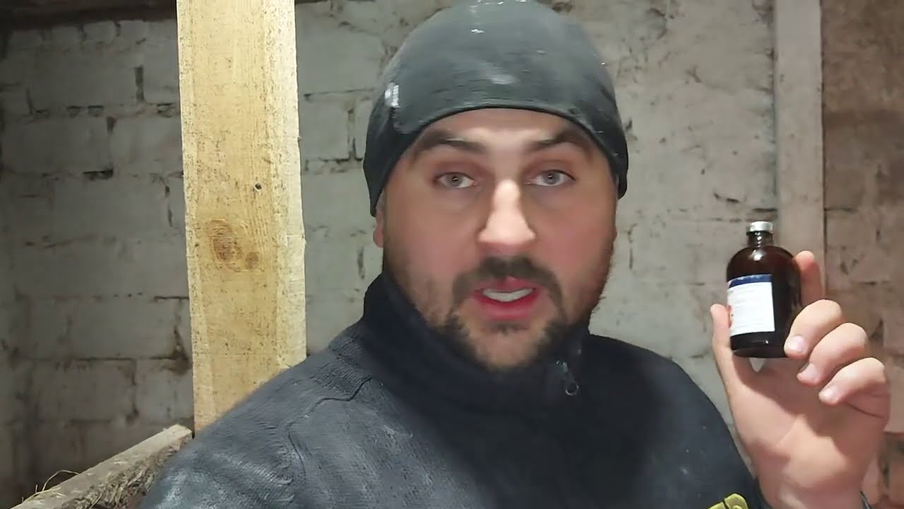 зачем поросятам железо?? как Карбюратор? что с Чернушкой??