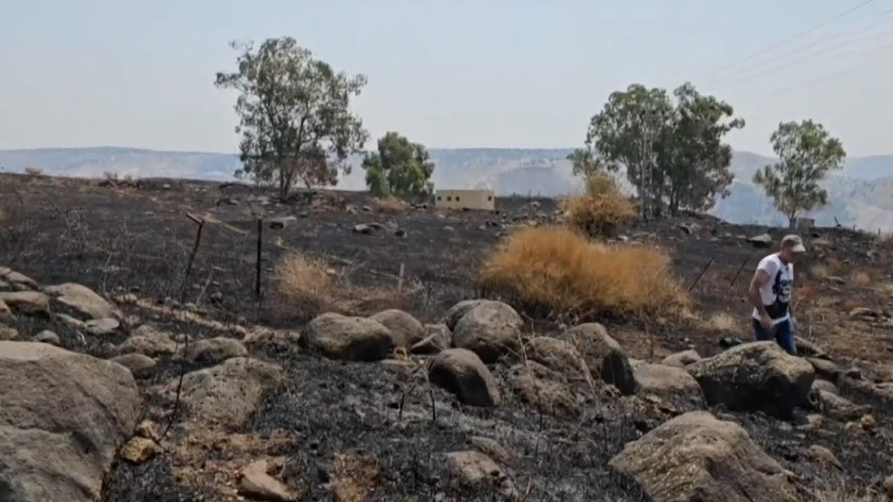 מכת הפרוטקשן בצפון: אלפי דונמים של שטח מרעה בגולן הוצתו