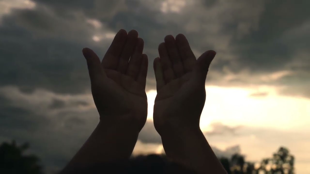 Dani Flauzino | O Avesso do Rei (MPB)