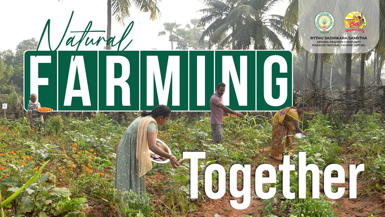 Natural Farming Together | Bobbili Jyothi | Anakapalli District
