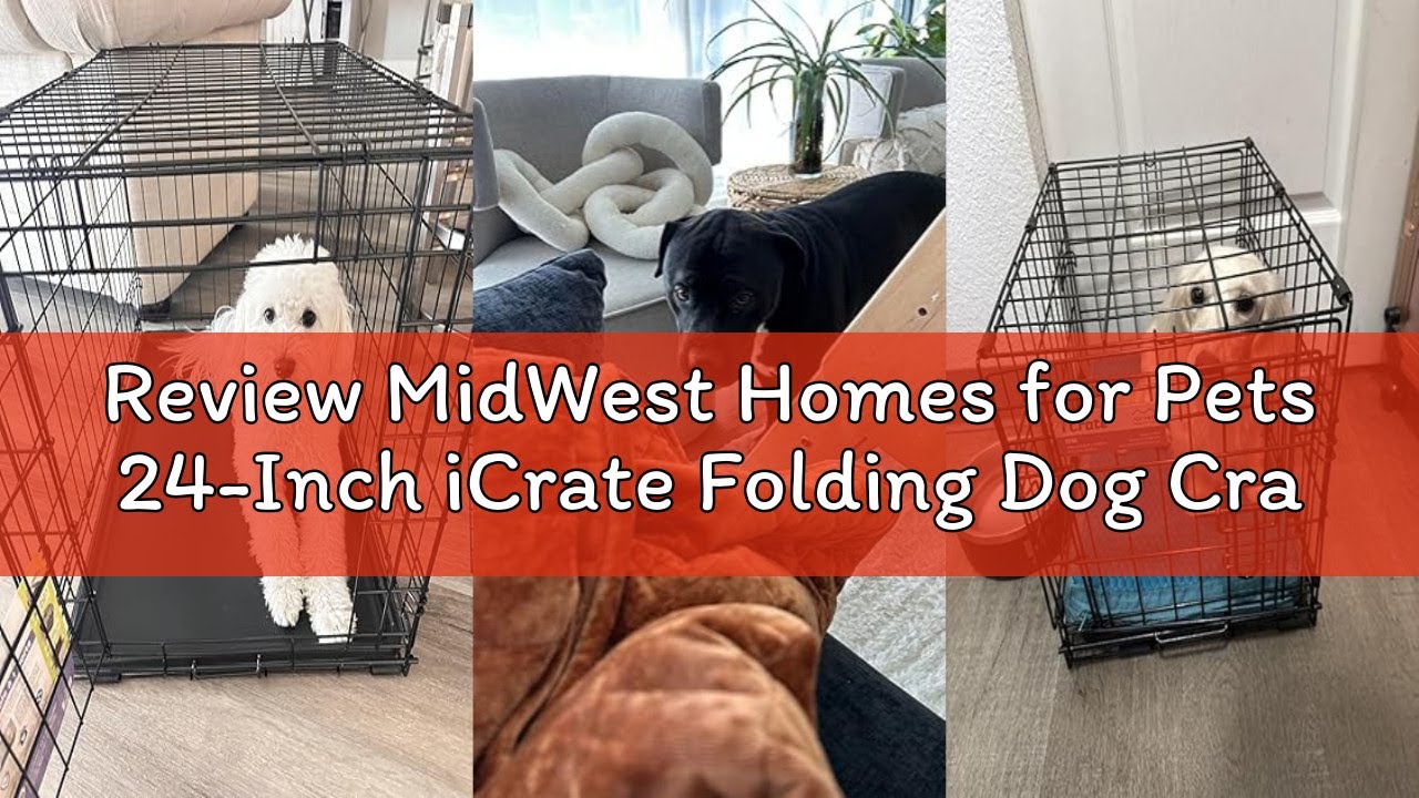 Review MidWest Homes for Pets 24-Inch iCrate Folding Dog Crate with Divider Panel, Leak-Proof Tray &