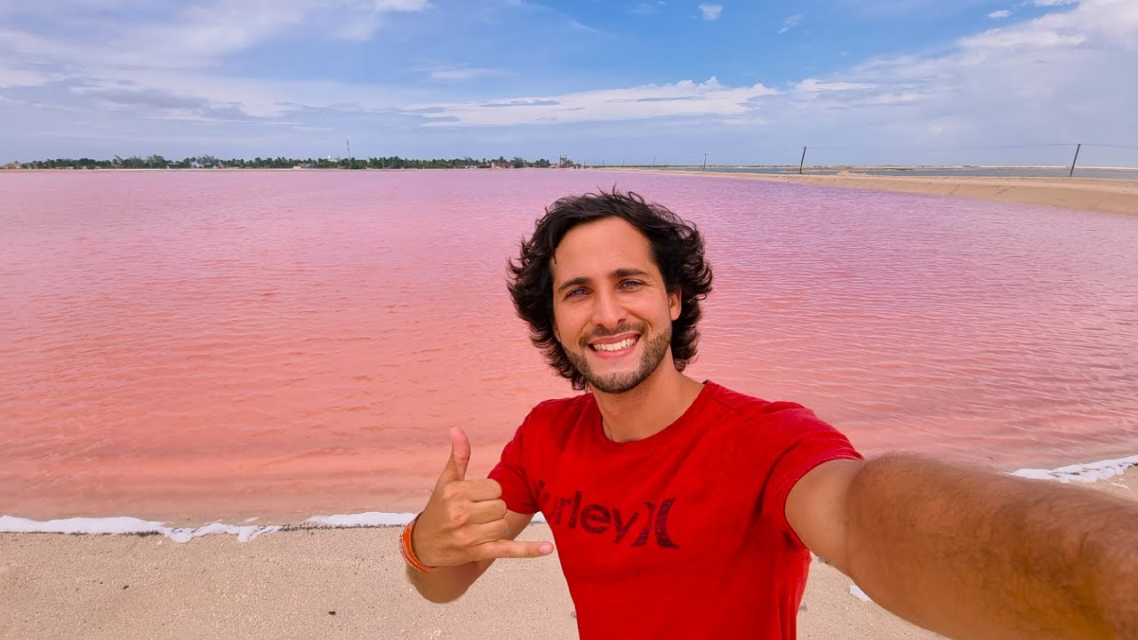 ¿Aguas de color rosa y cocodrilos? Río Lagartos y Las Coloradas