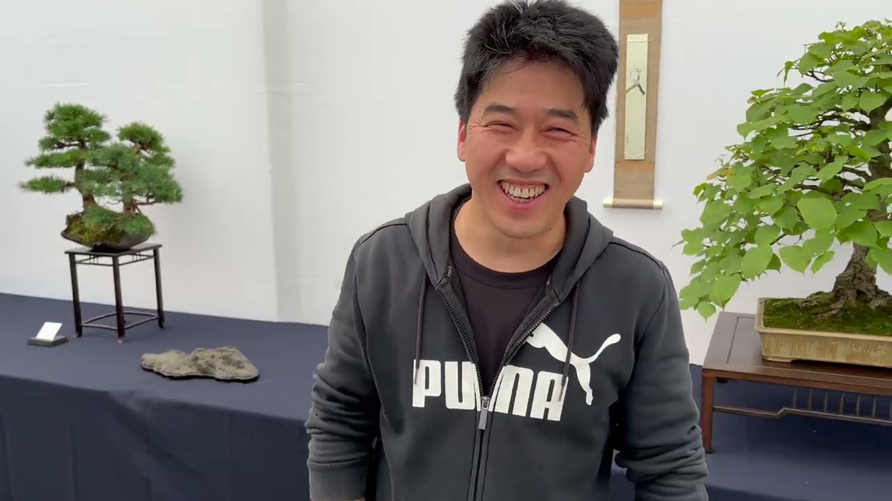 Bonsai van het Westen 2024