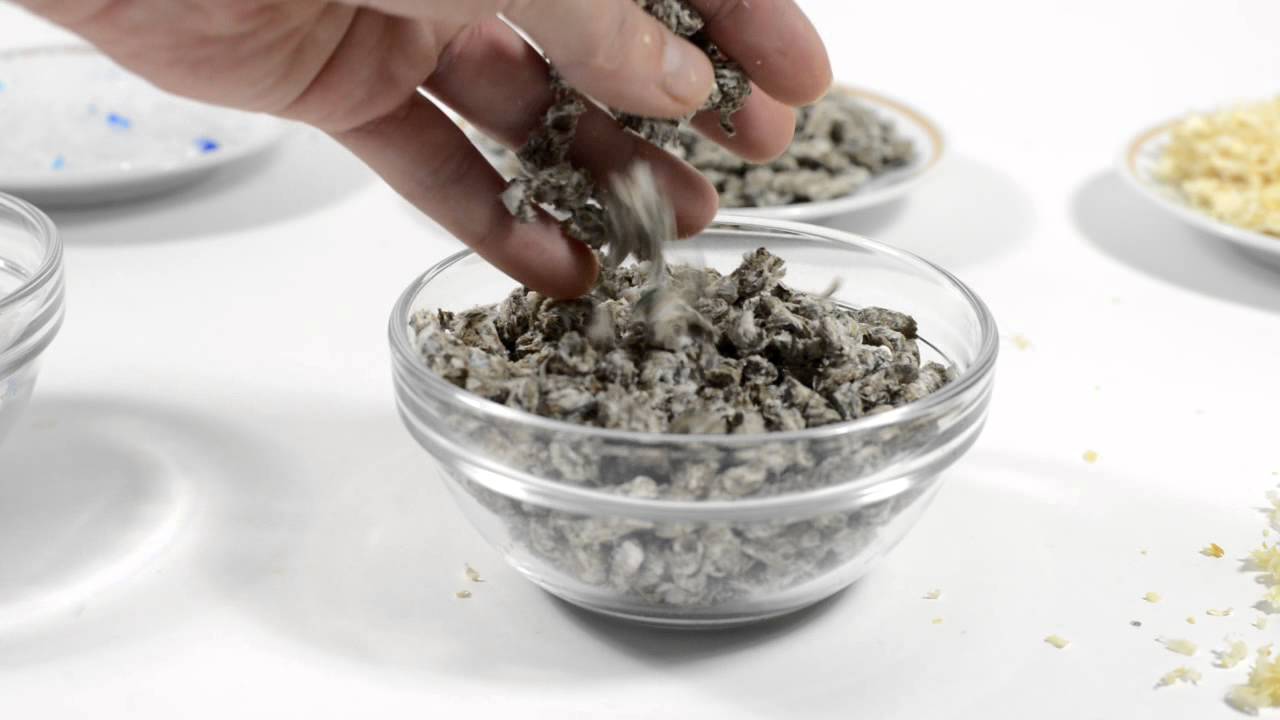 KatzenTipps - Thema: Katzen-Grundausstattung - Katzenstreu im Test und die Kaufempfehlung