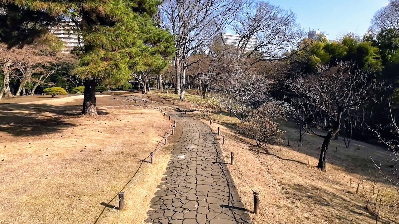 Quiet Walk Through Tonogayato Garden, Tokyo 🇯🇵 | 4K POV Walking Tour