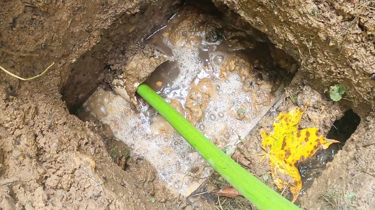 Overflowing Full Septic - Drain Pros Ep. 76