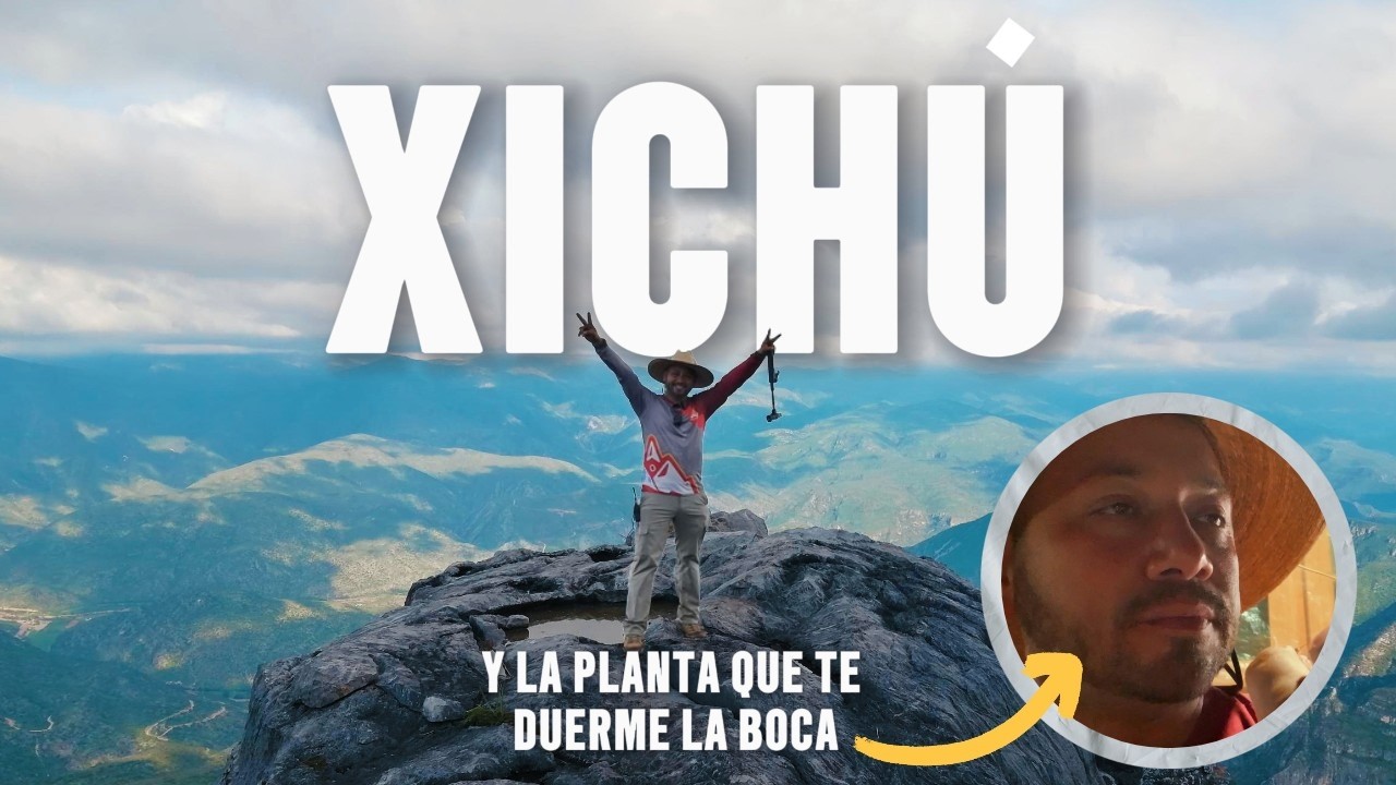 Xich&uacute;, el para&iacute;so en la Sierra Gorda Pt. 1. Y su planta que duerme la boca (chilcuague)