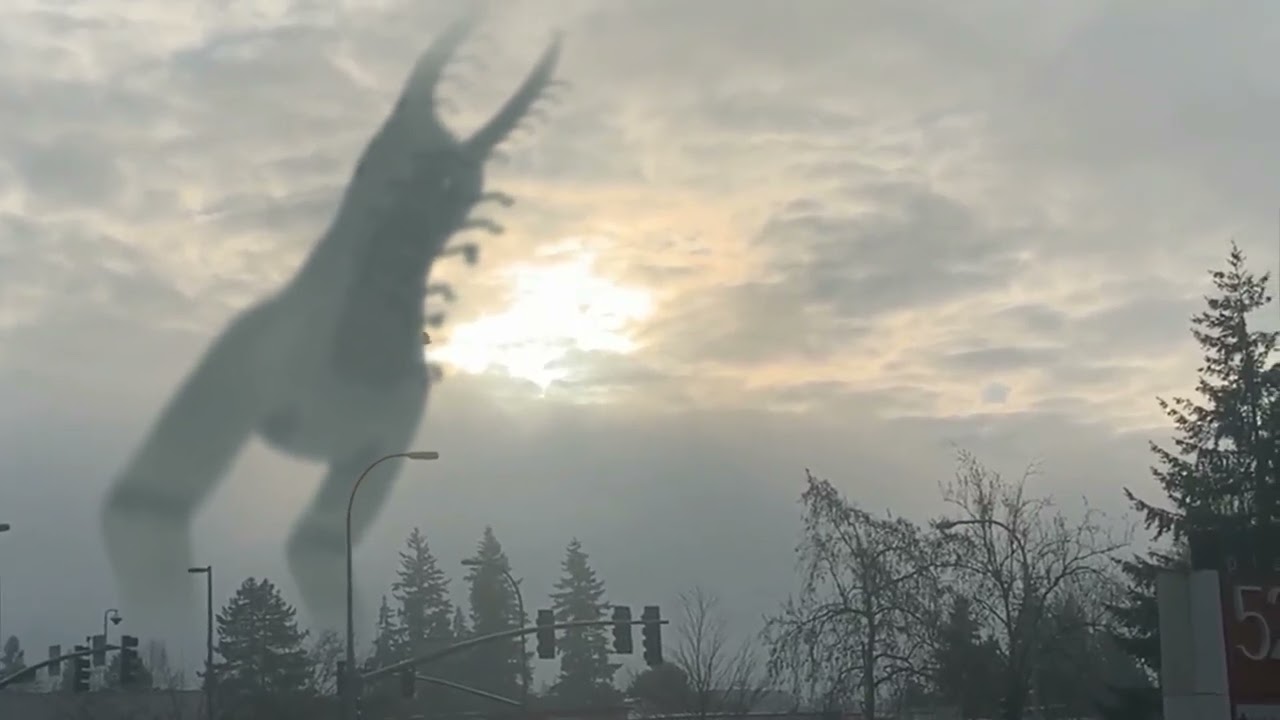 The bird watcher in real life