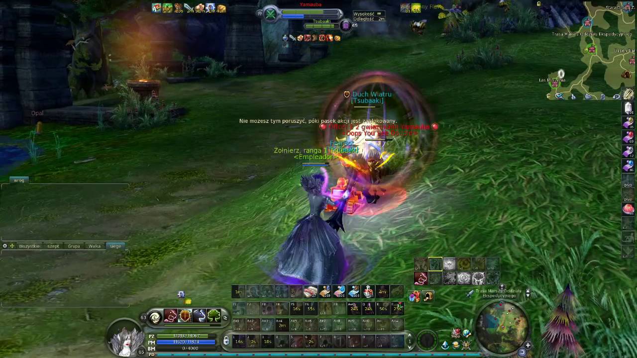 Aion Spiritmaster PvP #2 Open world pvp