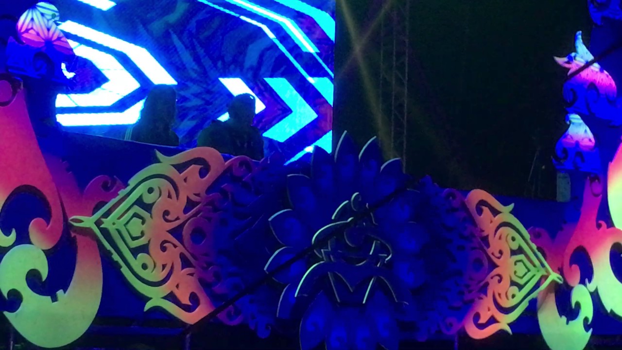 Infected mushroom @ hommega Festival in-psy by 2Contact.org