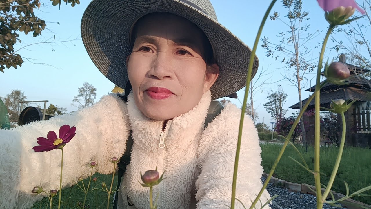 สด   สวัสดียามเช้าที่สดใส