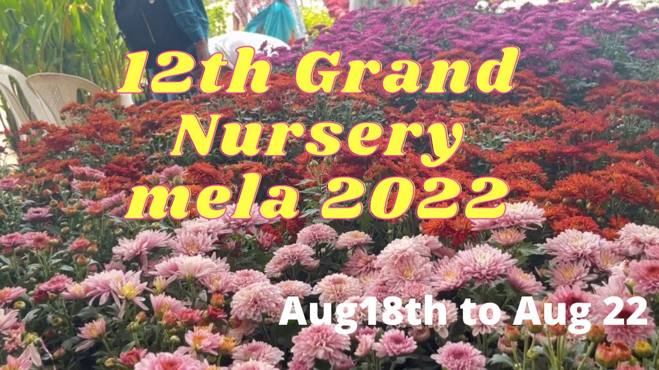 12th Grand Nursery Mela 2022 || Necklace Road Hyderabad #nurserymela