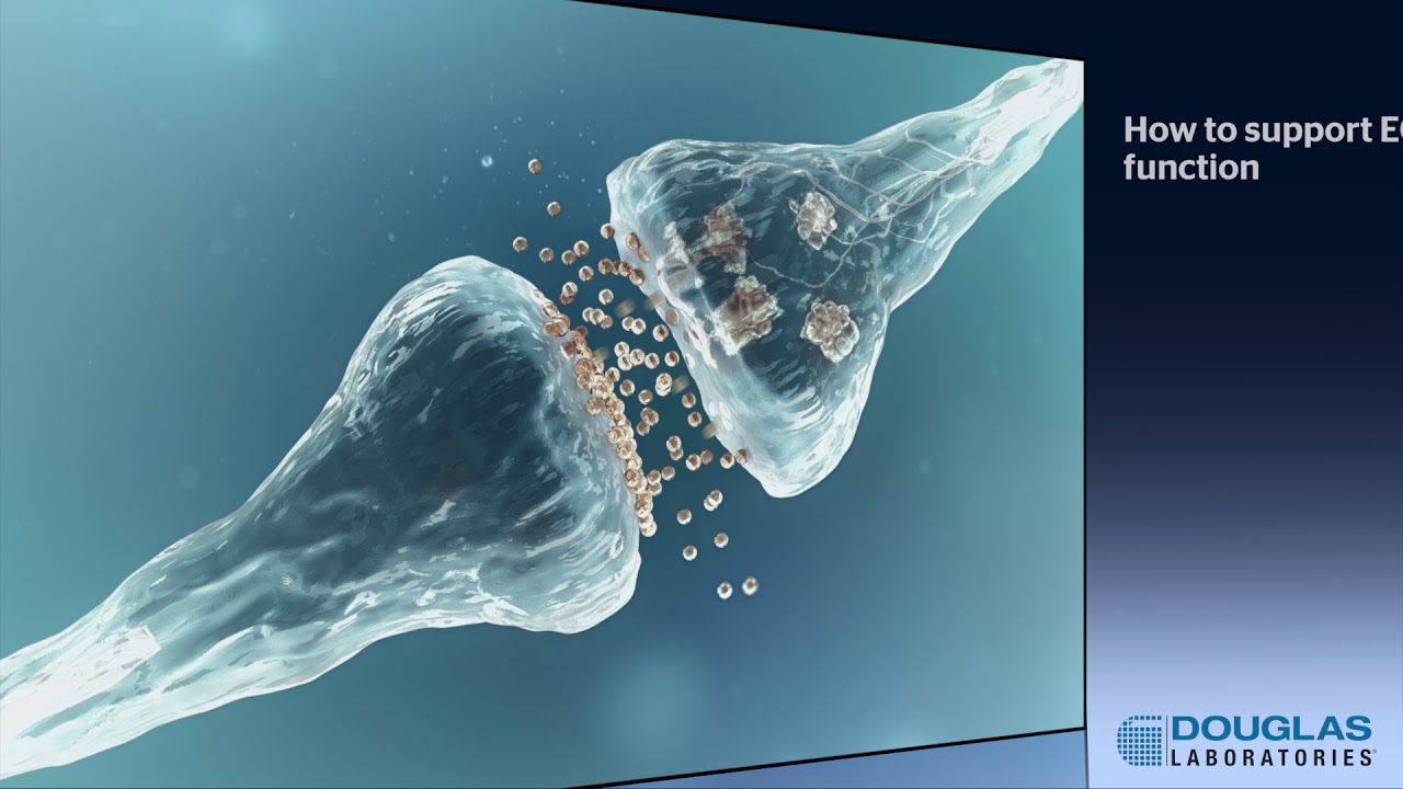 Cannabidiol and the Endocannabinoid System:  A Brief Tutorial