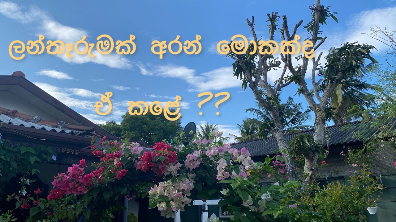 ජීවිතය විදවන්න එපා, විදින්න ❤️❤️