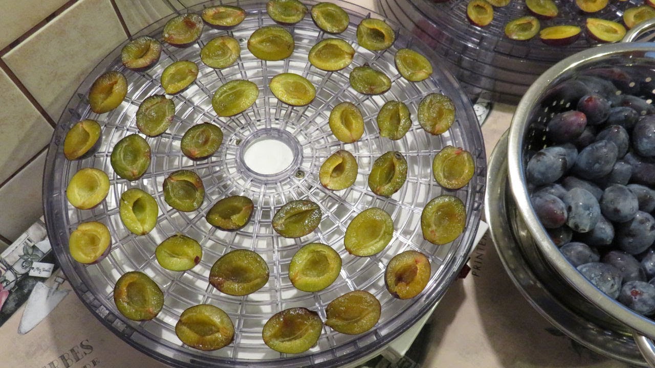 How to Make Dried Plums in a Food Dehydrator - A Quick Tutorial with Easy-to-follow Steps