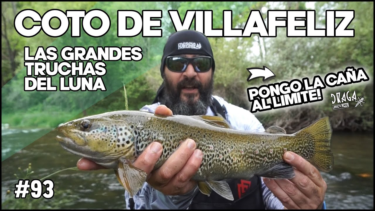 COTO de Villafeliz | Tras las grandes Truchas del río Luna... Pongo la caña DRAGA al límite