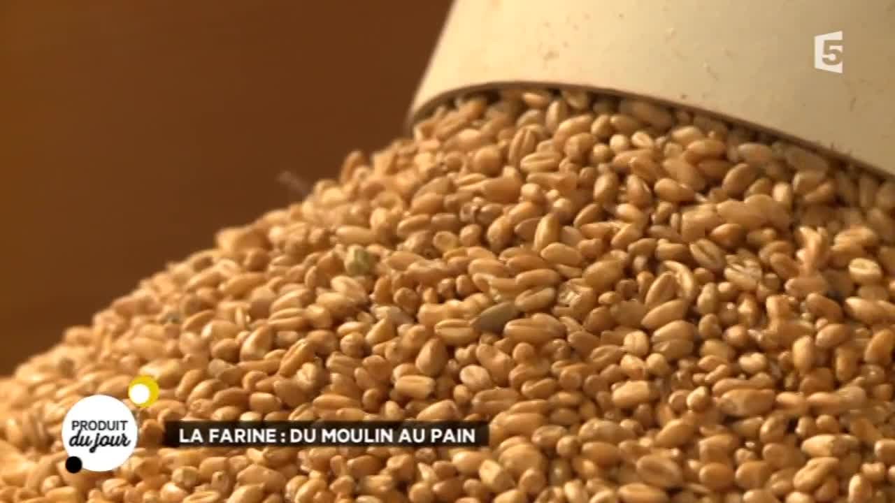 La farine : du moulin au pain