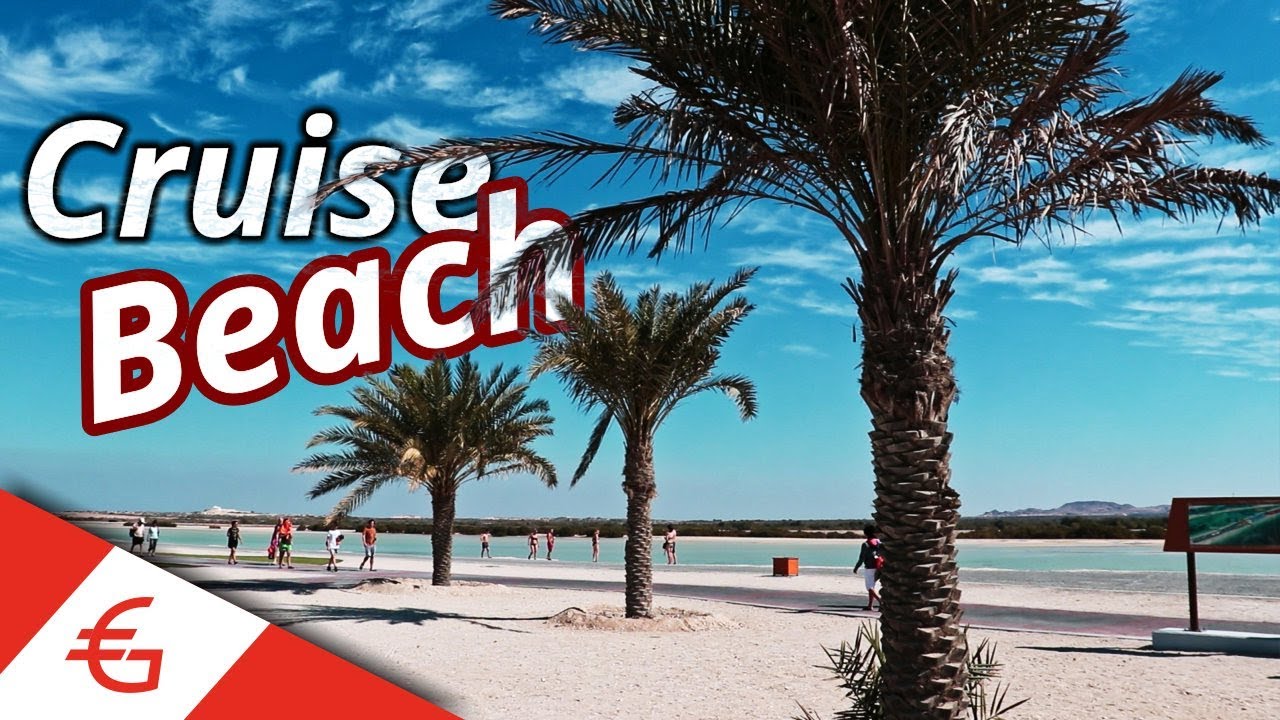 The AMAZING Cruise Beach on Sir Bani Yas Island  | MSC Splendida