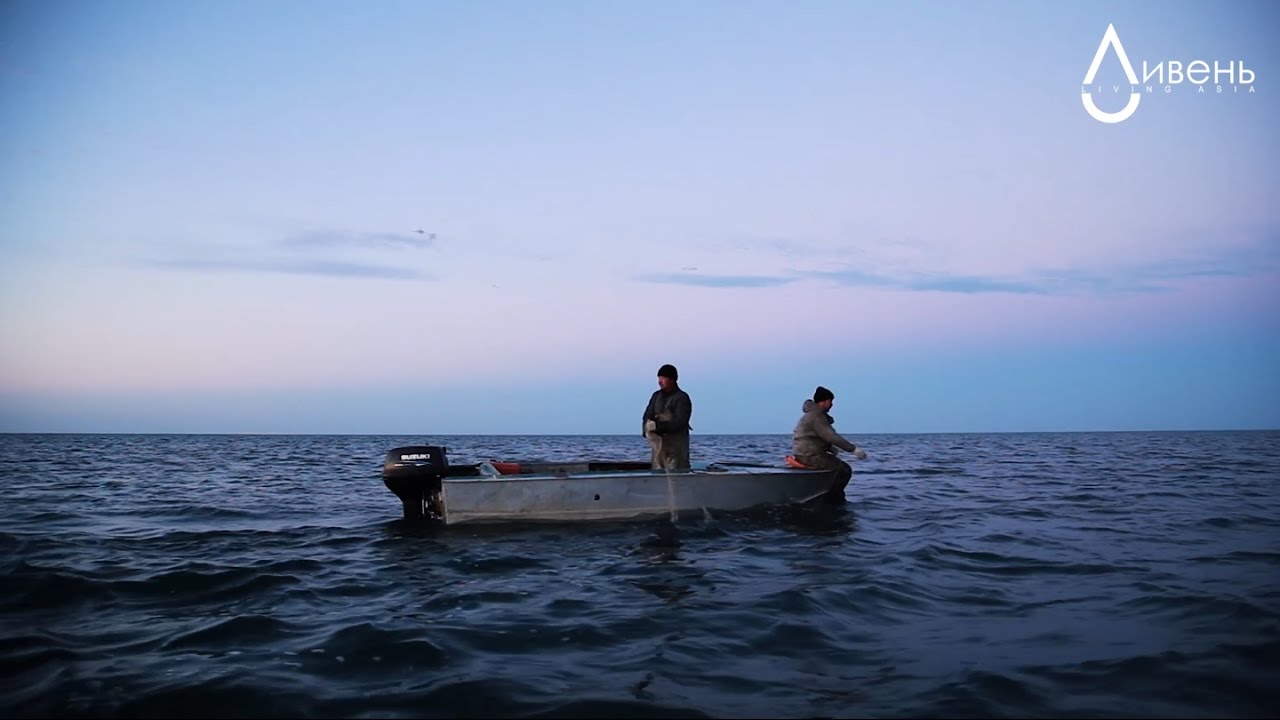 НИКОГДА МОРЕ. Never more: Арал с высоты птичьего полёта (Казахстан)