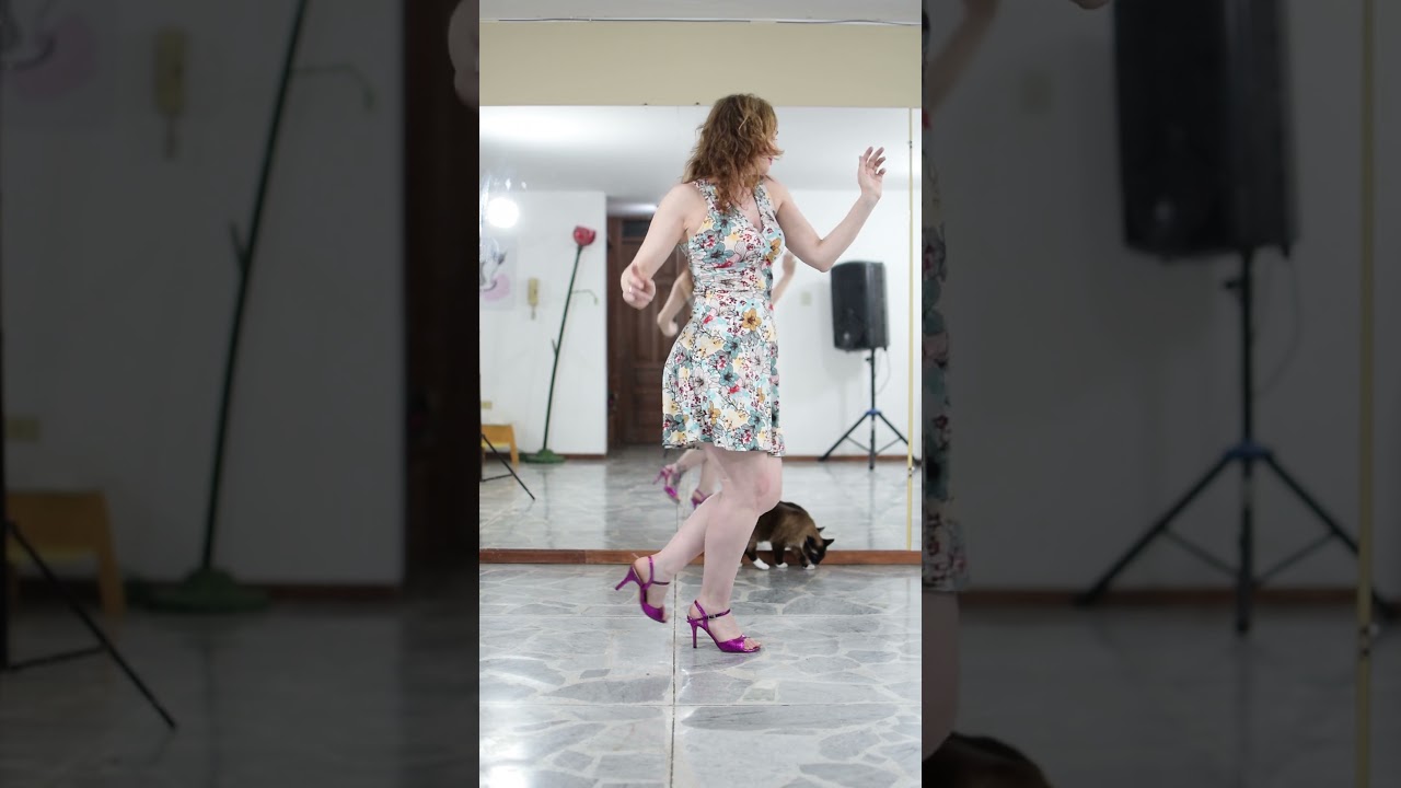 Bailando Silueta Porte&ntilde;a sola