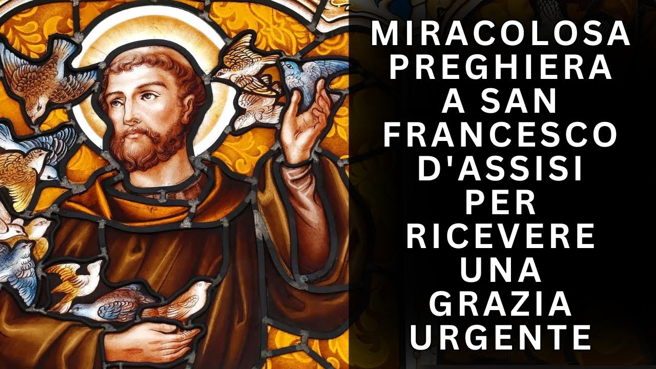 Miracolosa Preghiera a San Francesco D'Assisi per ricevere una Grazia Urgente. 4 Ottobre 🙏