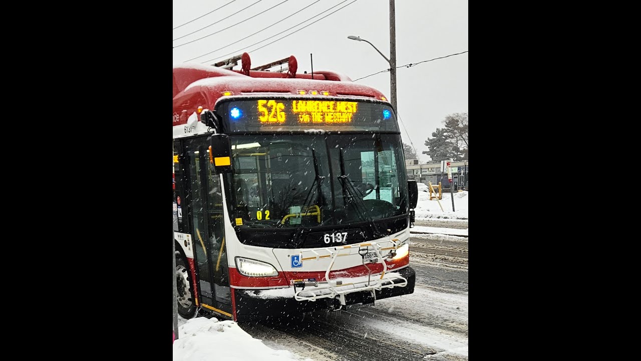 TTC 52G Lawrence West to Martin Grove Bus ride - From Roxaline St to Islington Ave 1/5/2026 #6173