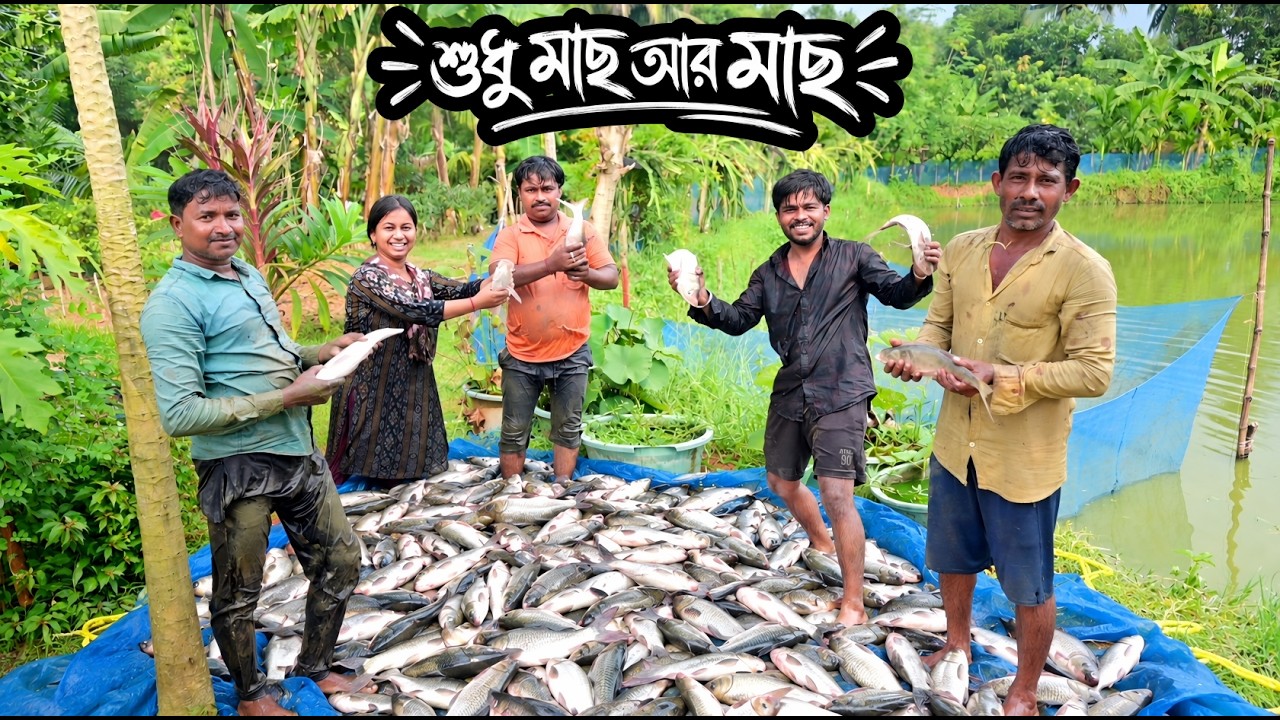 হঠাৎ করে কেন পুকুরে সব মাছ ধরে নিলাম ||