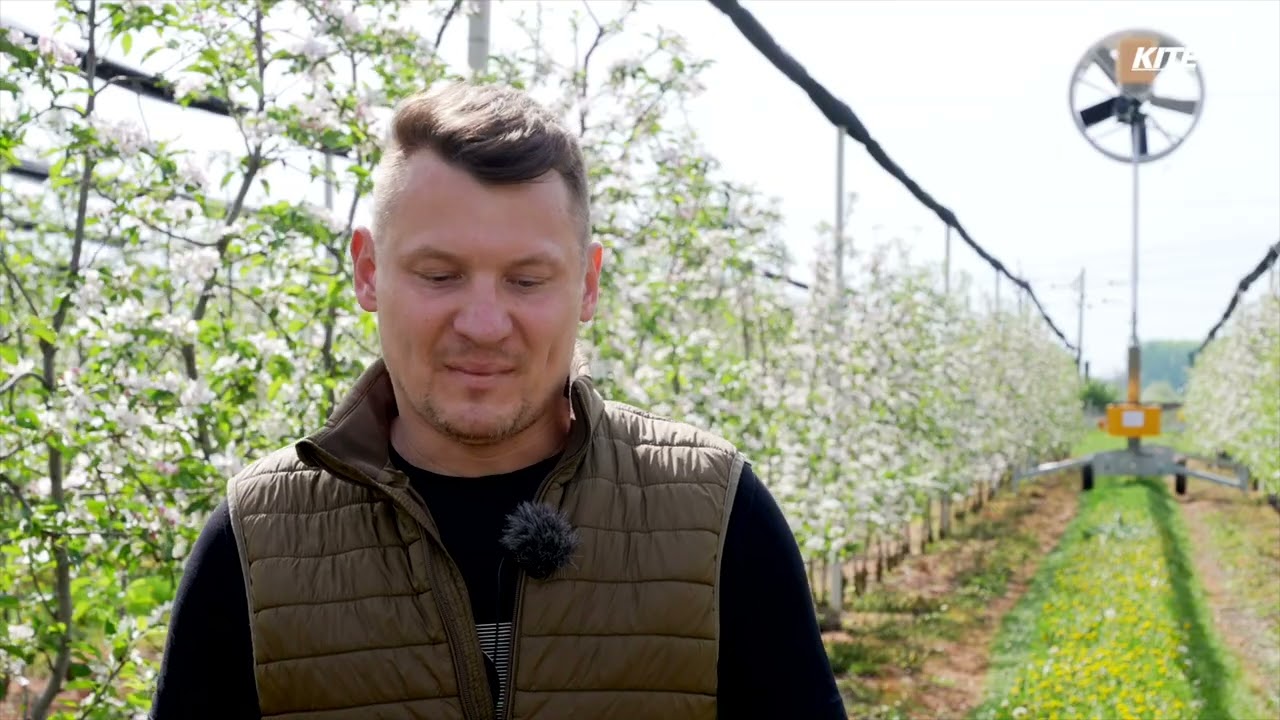 Fagykár elleni védekezés Tow & Blow szélgépekkel