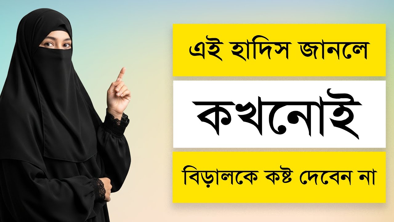এই হাদিস জানলে কখনো বিড়ালকে কষ্ট দেবেন না |This Hadith Teaches Kindness to Cats