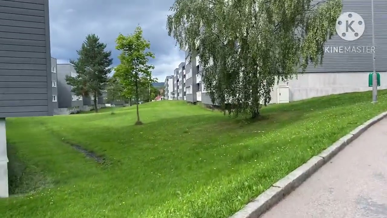 THE GREEN SURROUNDINGS OF OSLO NORWAY