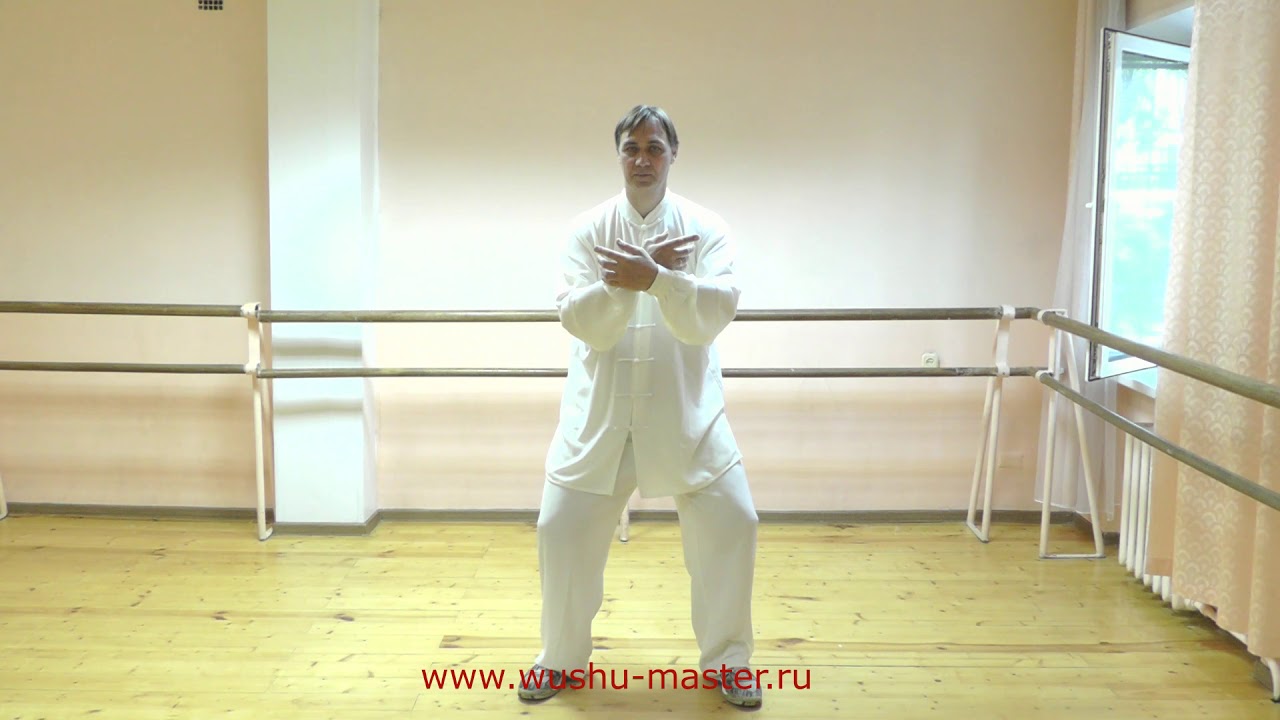 Тайцзицюань 48ф Тайцзи Урок4 Hunyuan Tai Chi 48 Forms 2 Lesson 4 taiji wushu