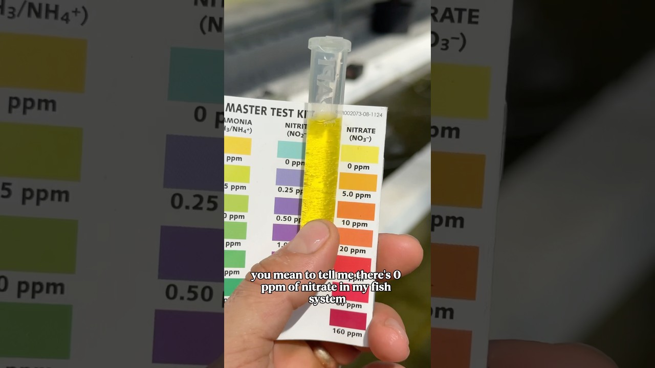 I have ZERO NITRATES? HOW?
