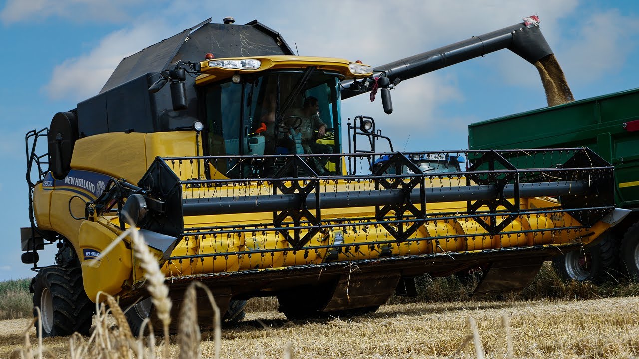 ☆ Żniwa 2022! ☆ Jęczmień Ozimy ☆ New Holland CR9070 ☆ New Holland T7030☆New Holland t6070 AgroQub☆