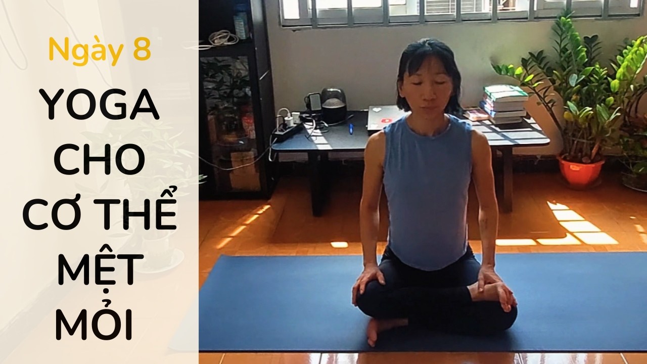 25 Phút Dòng Chảy Đánh Thức Toàn Thân | Ngày 8 – Yoga Cho Người Mới