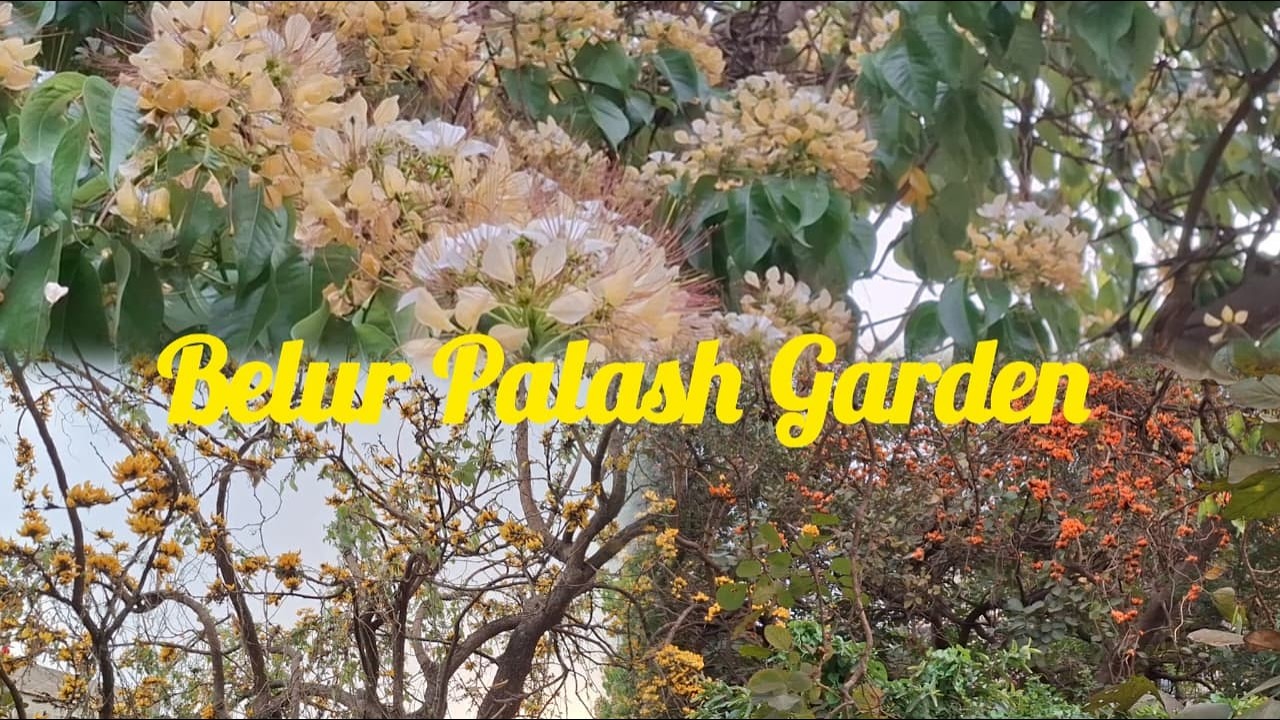 Ek Tukro Purulia| Exploring Palash Garden| Belur|