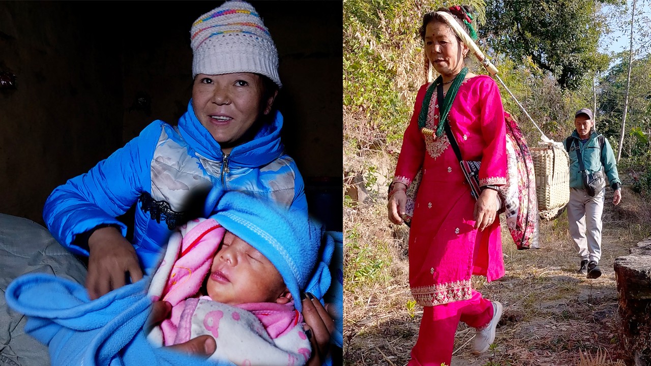 jungle man went to meet his daughter bcz his daughter gave bird a baby son