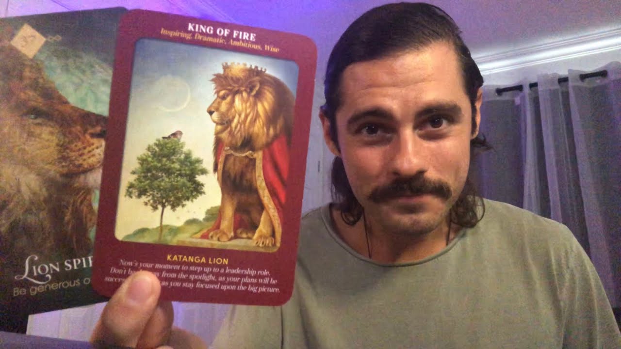 You’re A Powerful Leader 🦁✨ A Destined Path Is Revealed By Your Higher Self