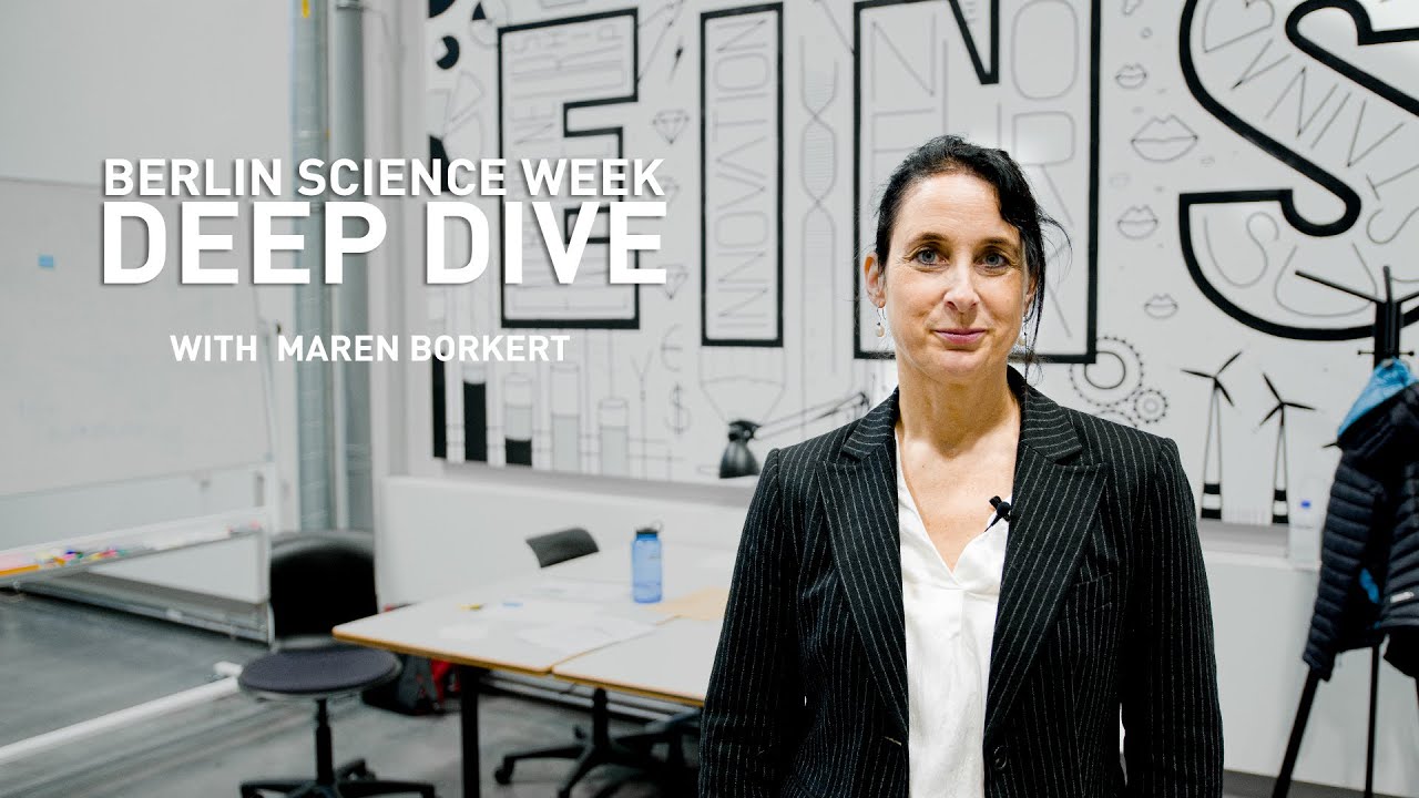 What is platform economy and how is it changing the world of work, Maren Borkert?