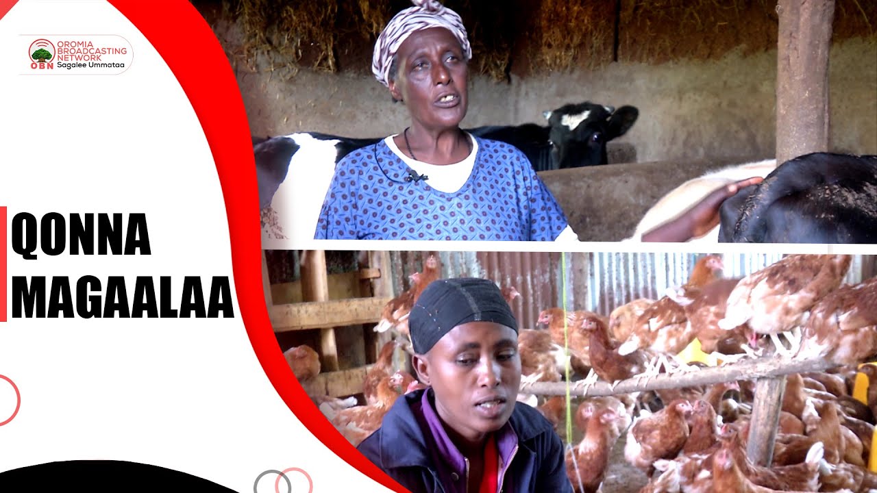 Jiraattonni  Magaalaa  Garba Gurraachaa qonna magaalaa  irraa  fayyadamuu  himan