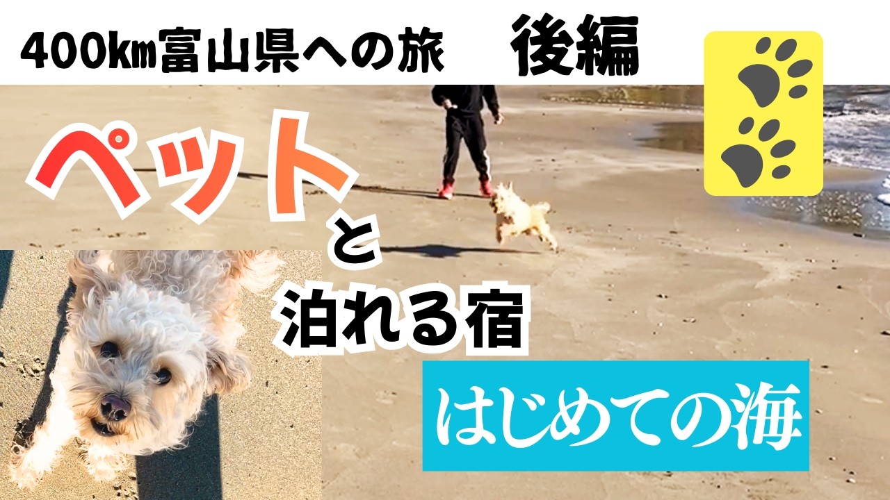 【ワンコ初めての海へ】犬と一緒にお泊りできるお宿へ。【富山県への旅　後編】