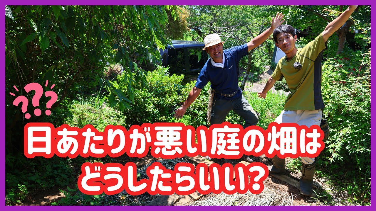 【自然菜園】日あたりが悪い庭の畑はどうしたらいい？