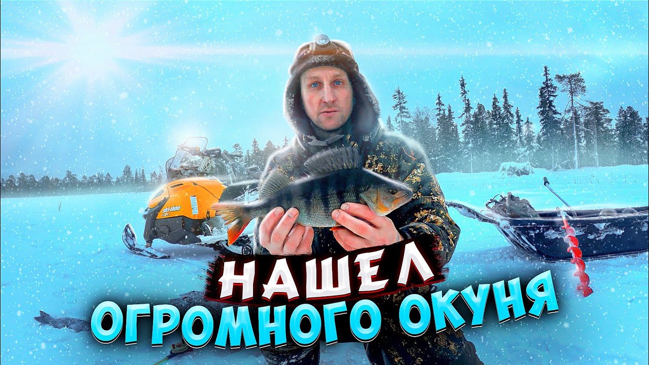 НАШЕЛ ОГРОМНОГО ОКУНЯ!ОСТАВИЛ САМОЛОВКИ НА 5 ДНЕЙ И ВОТ РЕЗУЛЬТАТ! НОЧЁВКА.