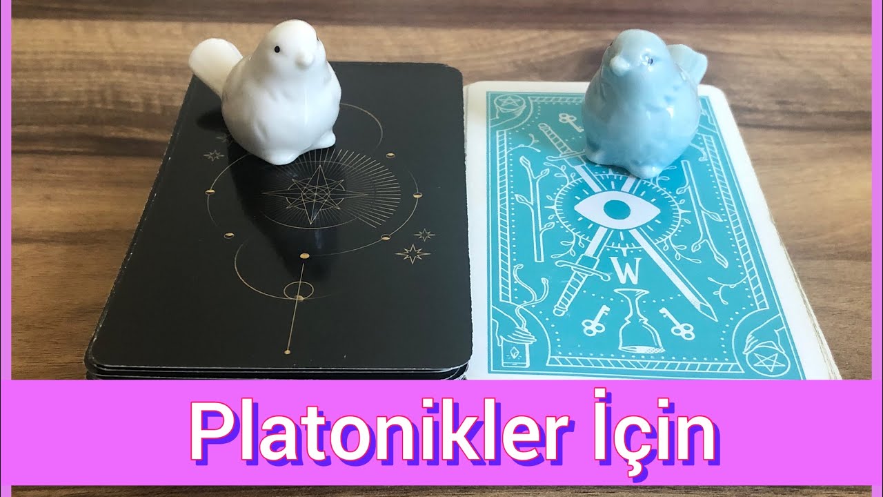 Platonik Olduğunuz Kişinin Sizinle İlgili Düşünce Duygu ve Niyetleri 💫💕⭐️ #desteseç #tarotaçılımı