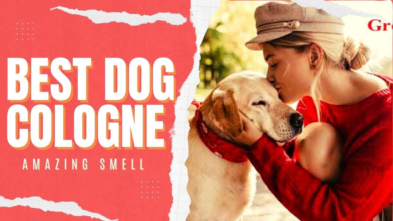 Best Dog Cologne To Keep Your Dog Smelling Nice All Day