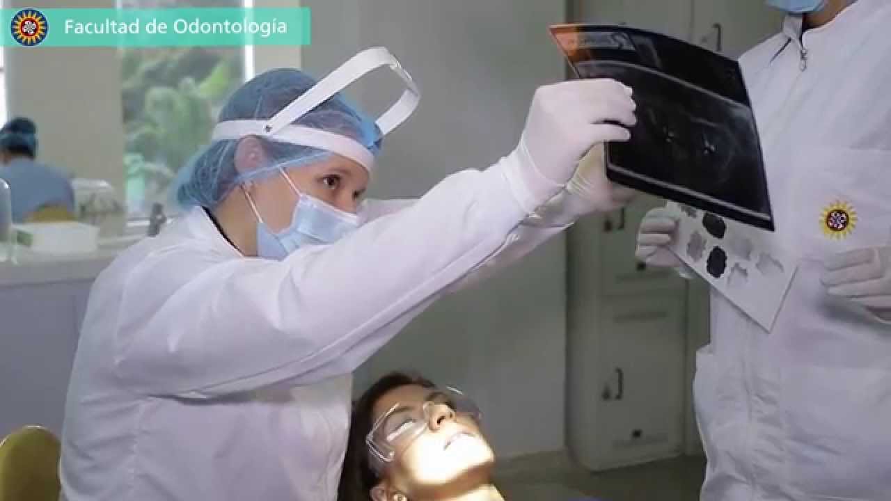 Programa de Odontolog&iacute;a en la USTA Bucaramanga