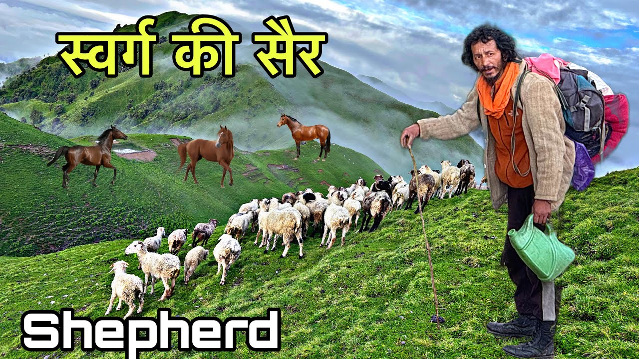 स्वर्ग की सैर करने चले आज चरवाहे Shepherd Lifestyle | Arjun khalptia vlogs